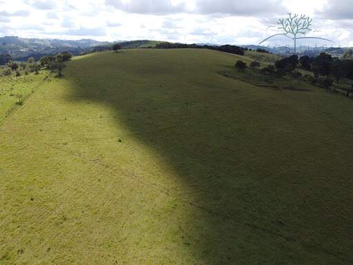Sítio à venda no Bom Jardim: 
