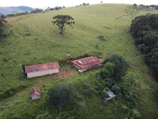 Sítio à venda no Bom Jardim: 
