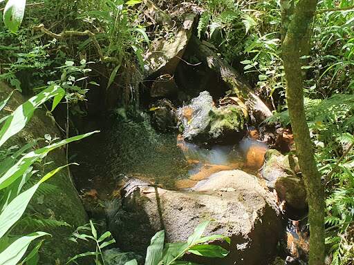 Terreno à venda no Junco: 