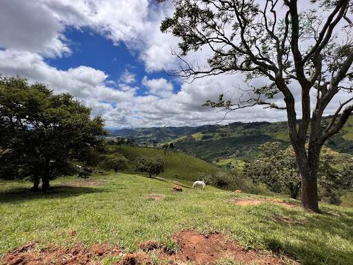 Terreno à venda no Furnas: 