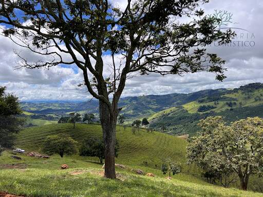 Terreno à venda no Furnas: 
