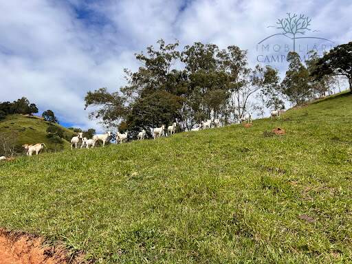 Terreno à venda no Furnas: 