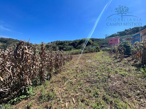 Lote à venda no Centro: 