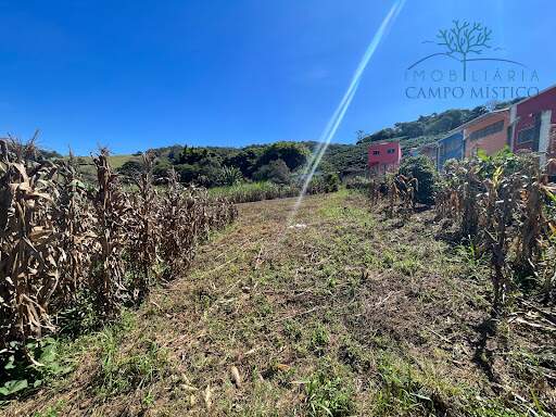 Lote à venda no Centro: 