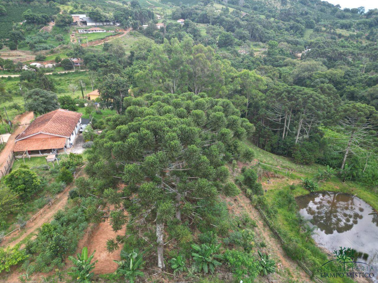 Chácara à venda no Boa Vista: 