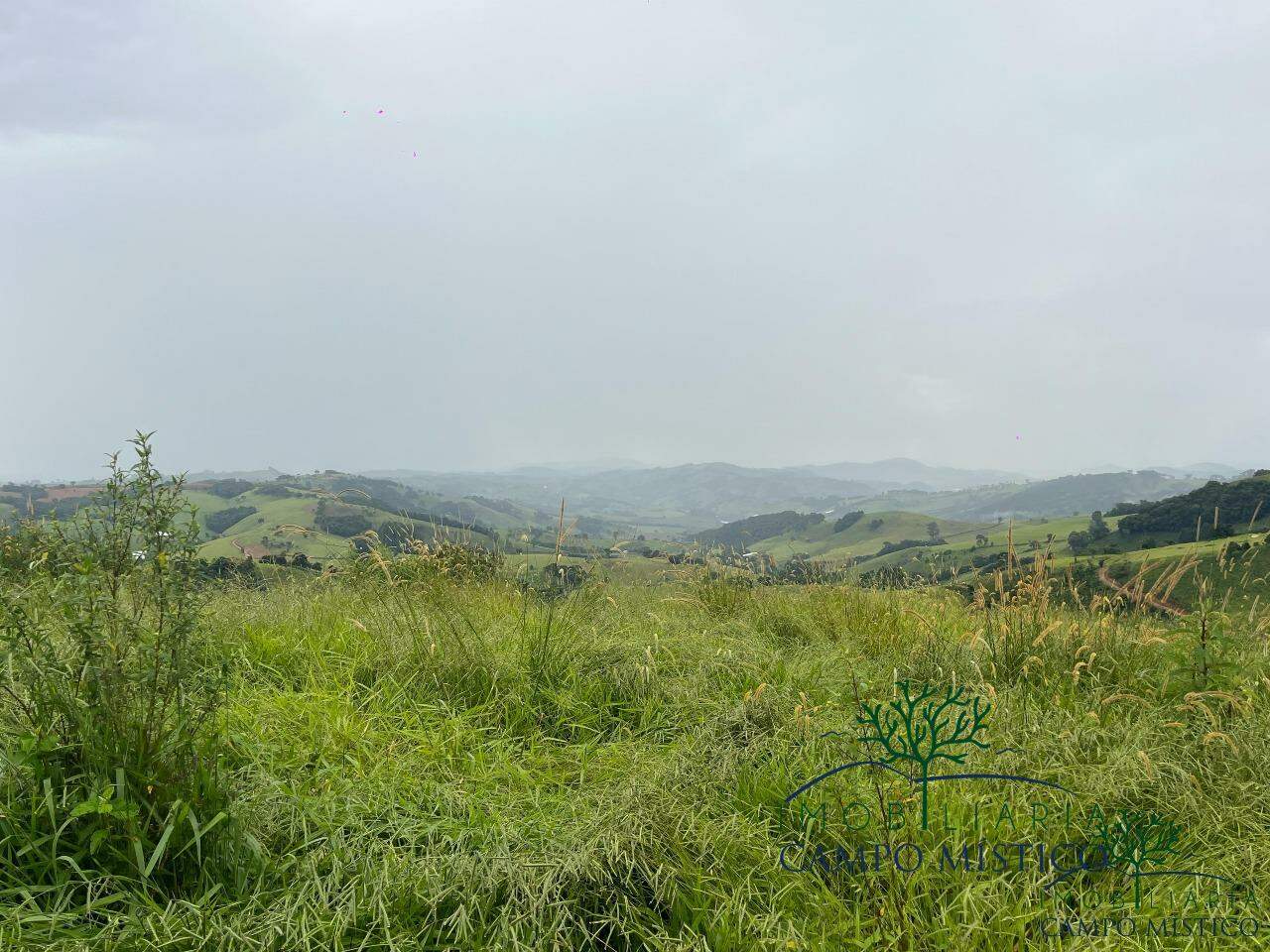 Terreno à venda no Torre: 