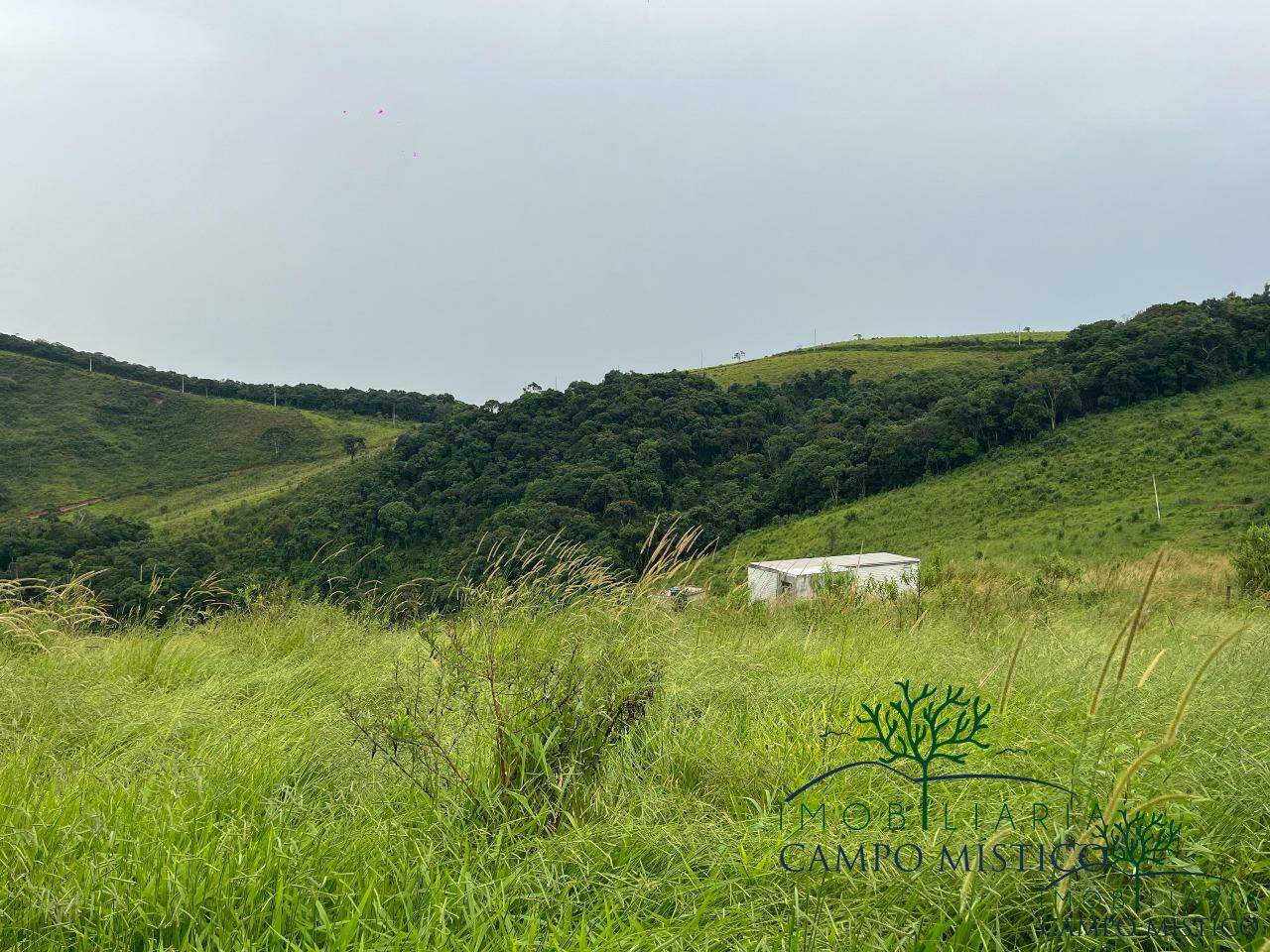 Terreno à venda no Torre: 