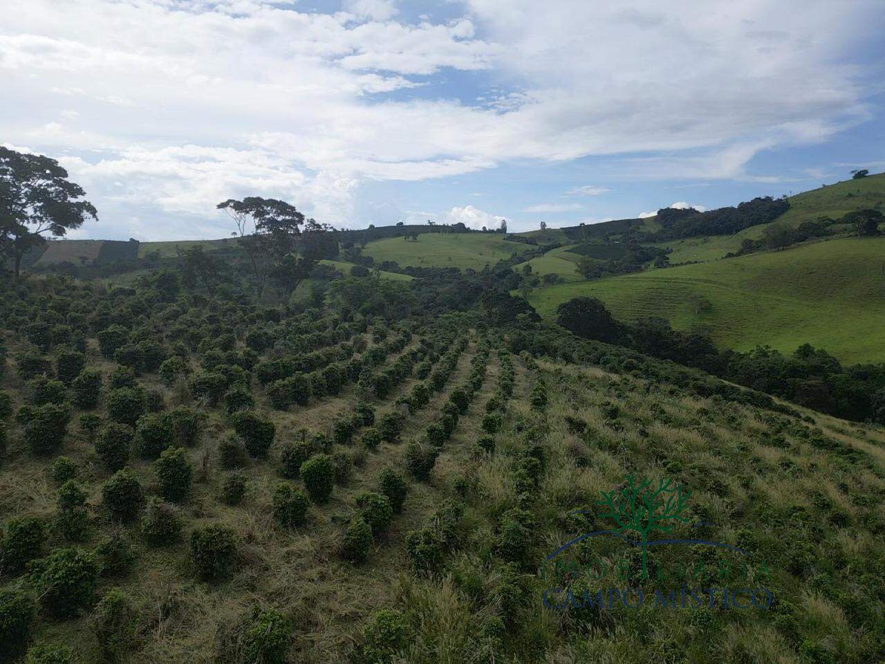 Terreno à venda no Cachoeira dos Félix: 