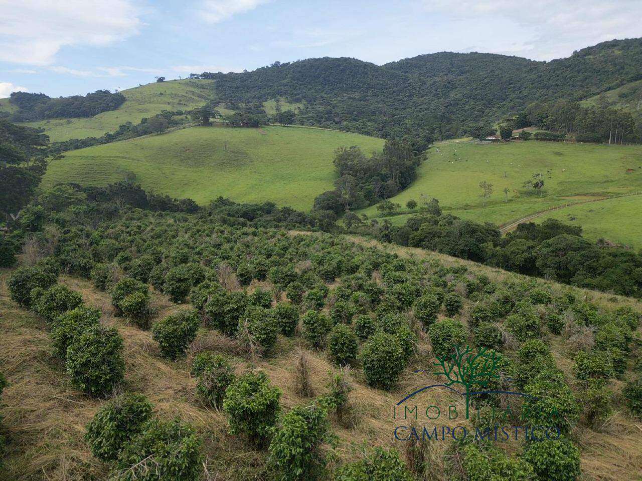 Terreno à venda no Cachoeira dos Félix: 