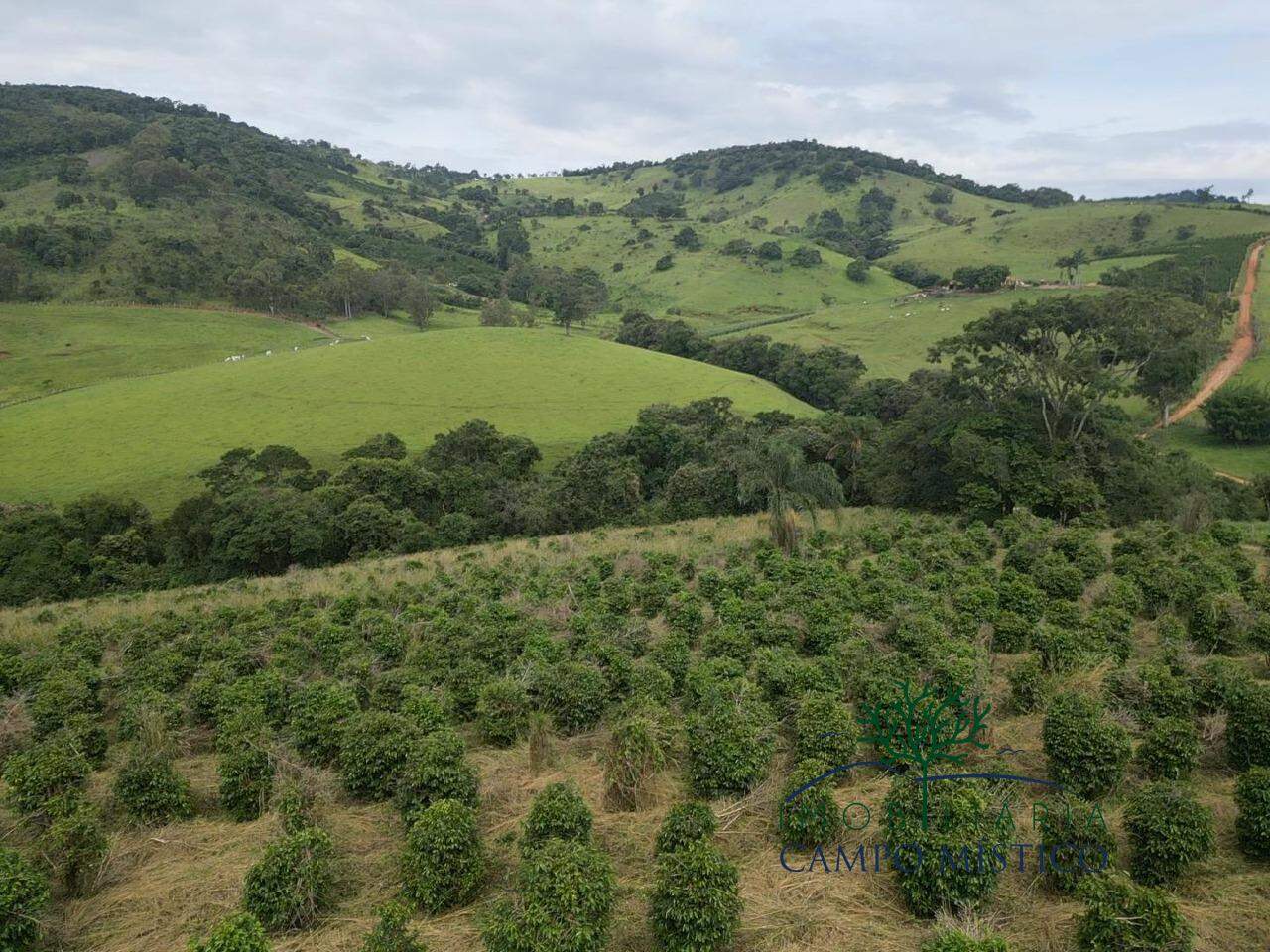 Terreno à venda no Cachoeira dos Félix: 