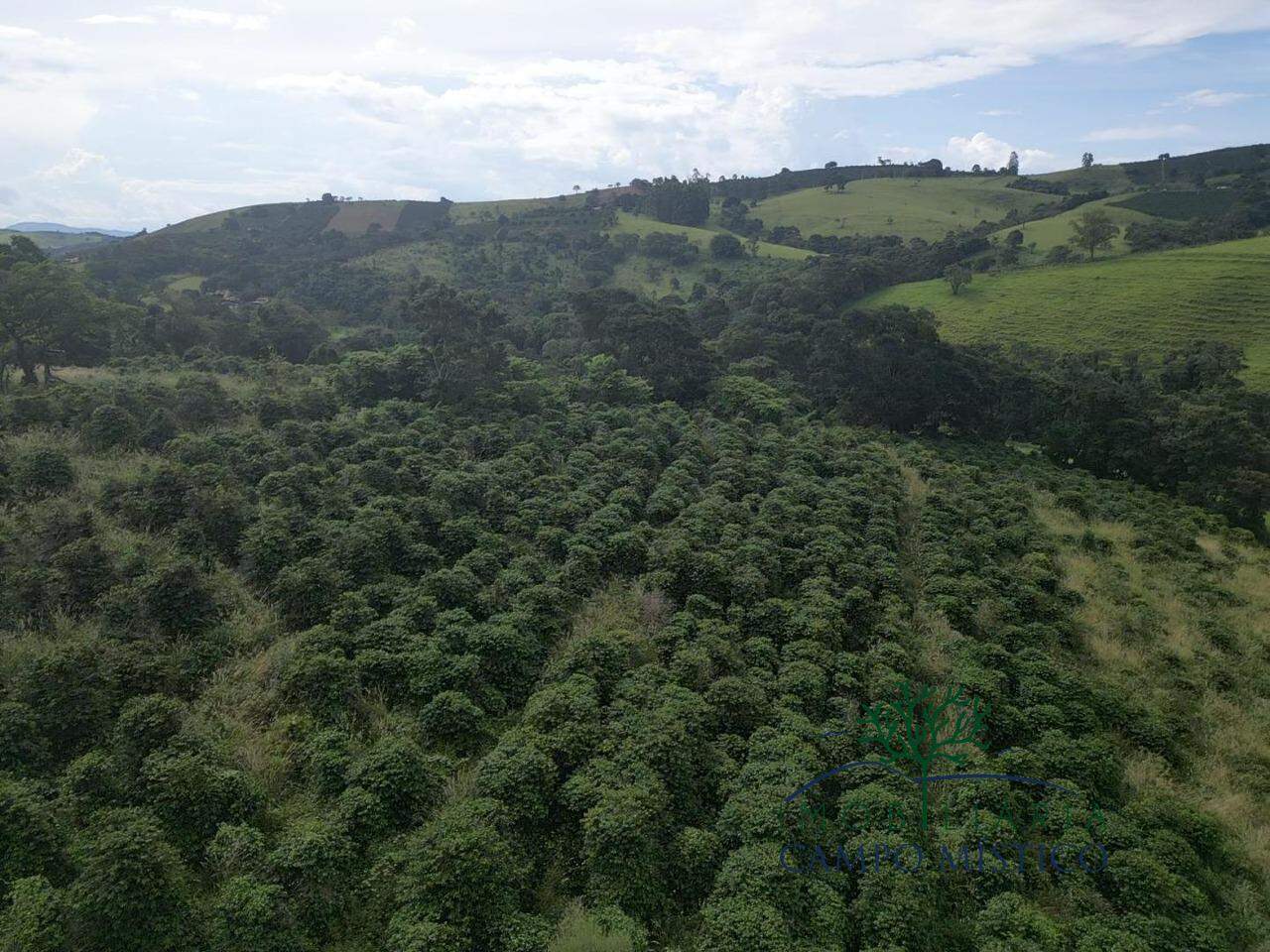 Terreno à venda no Cachoeira dos Félix: 