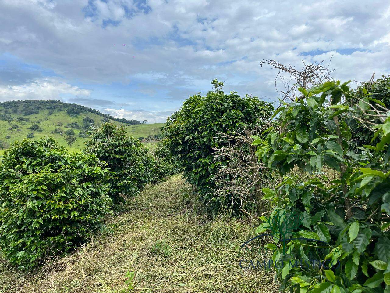 Terreno à venda no Cachoeira dos Félix: 