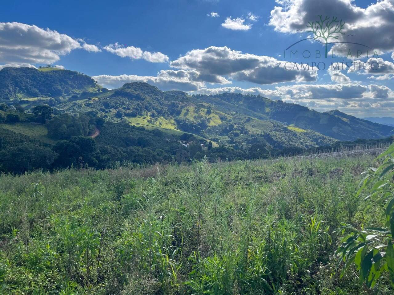 Sítio à venda no Boa Vista dos Barbosas: 