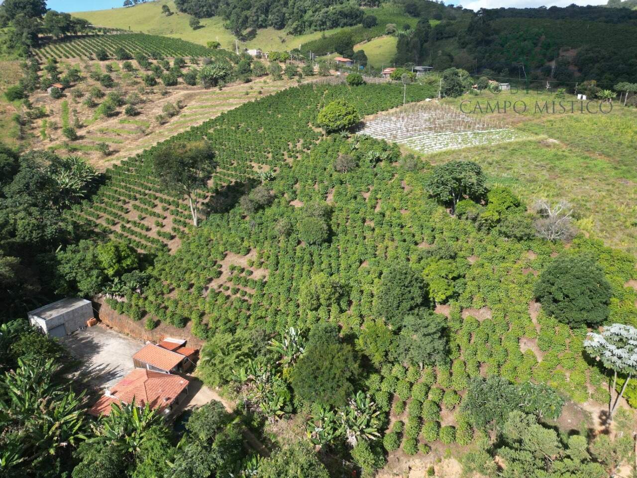 Sítio à venda no Boa Vista dos Barbosas: 
