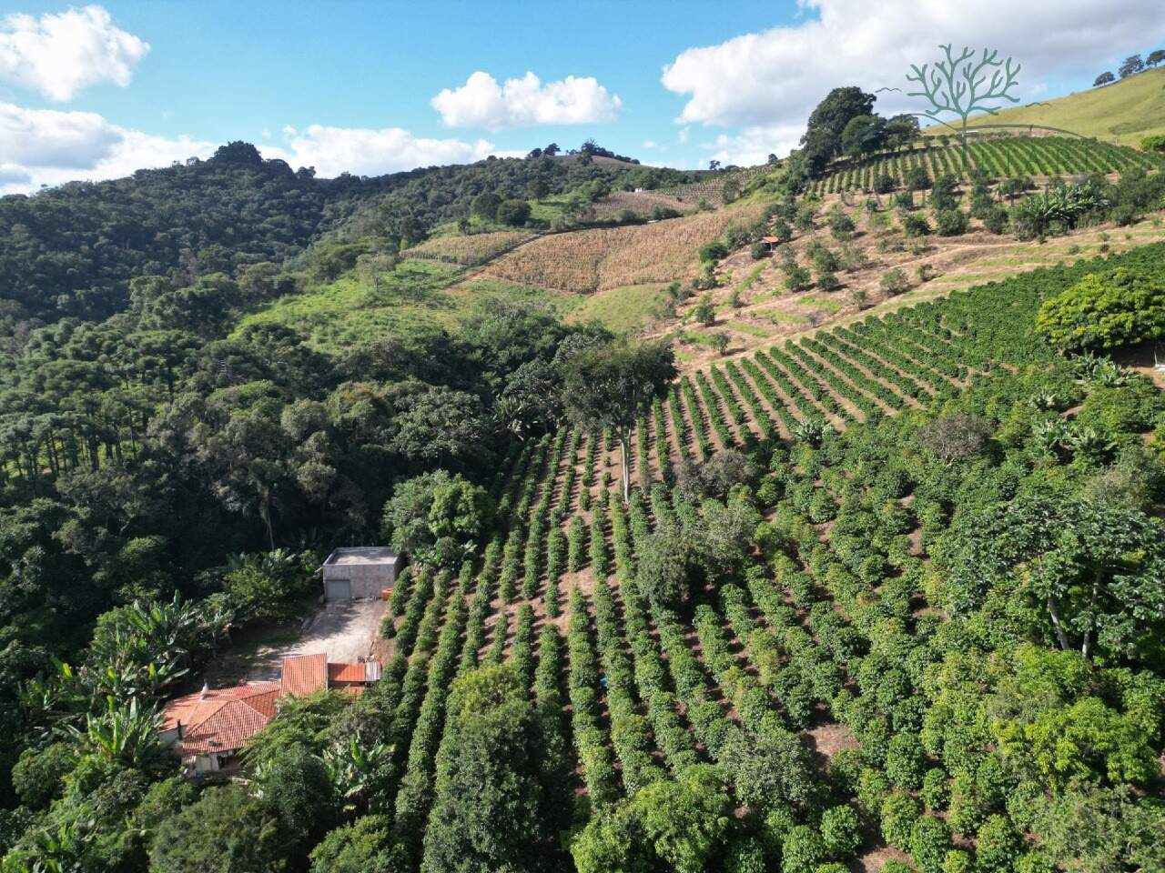 Sítio à venda no Boa Vista dos Barbosas: 