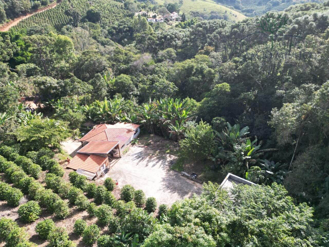 Sítio à venda no Boa Vista dos Barbosas: 