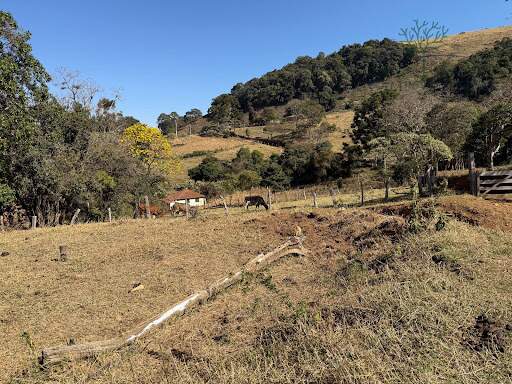 Terreno à venda no Torre: 