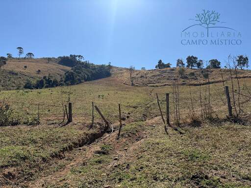 Terreno à venda no Torre: 
