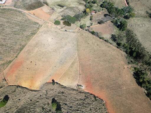 Terreno à venda no Torre: 