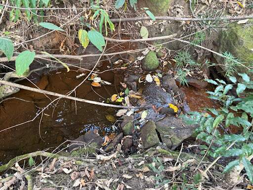 Chácara à venda no Cachoeira dos Félix: 