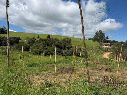 Terreno à venda no Esmeril: 