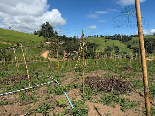 Terreno à venda no Esmeril: 