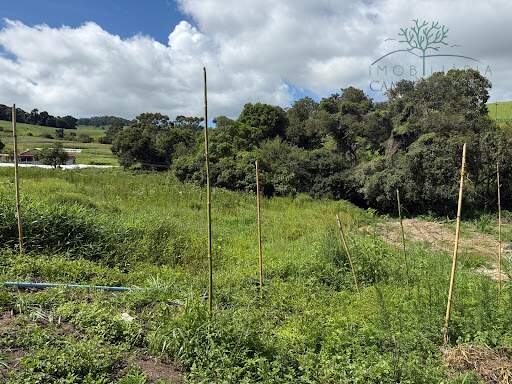 Terreno à venda no Esmeril: 