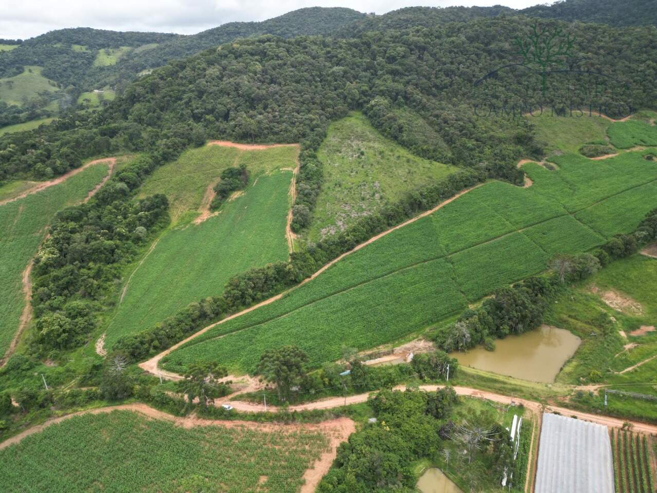 Terreno à venda no Correntinho: 