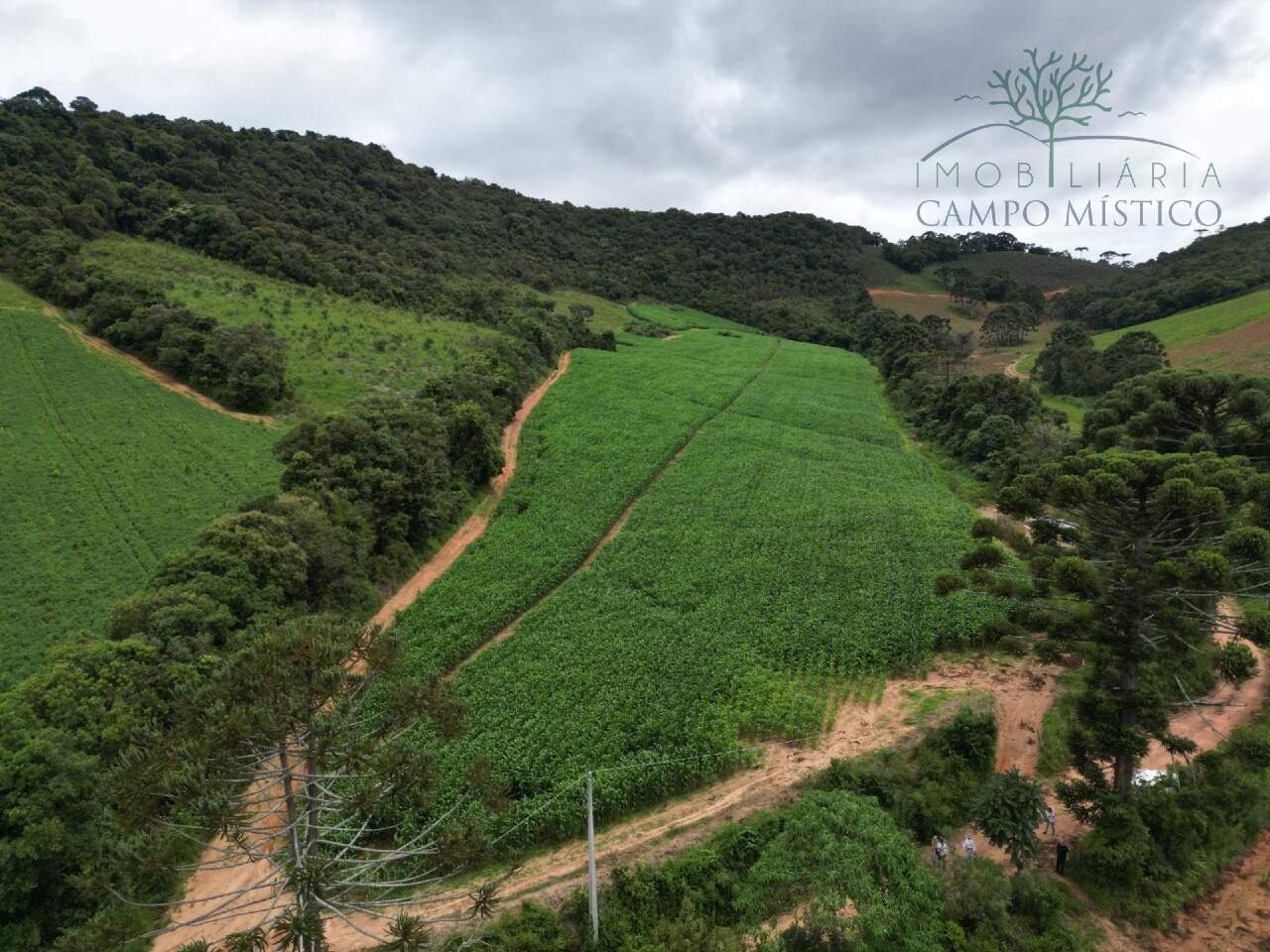Terreno à venda no Correntinho: 