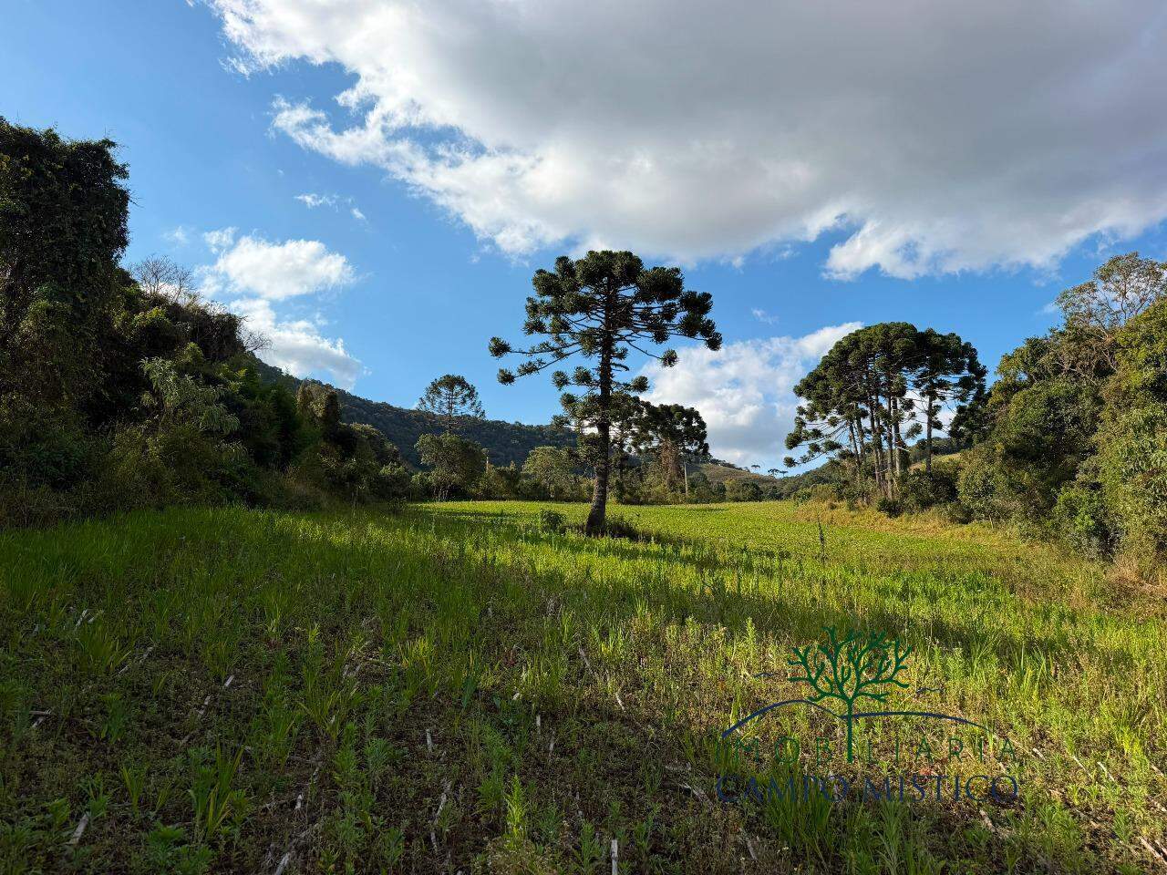 Terreno à venda no Correntinho: 
