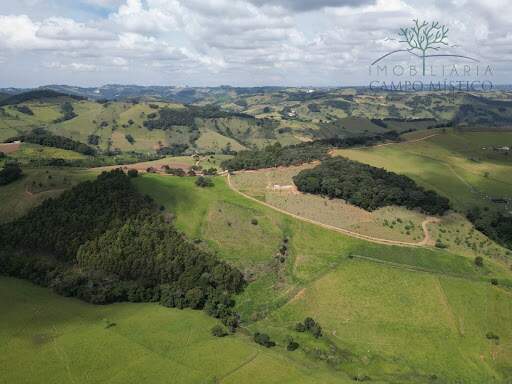 Terreno à venda no Torre: 