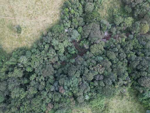 Terreno à venda no Bom Jardim: 