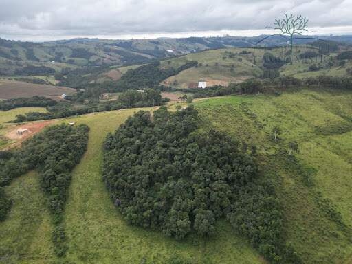 Terreno à venda no Bom Jardim: 
