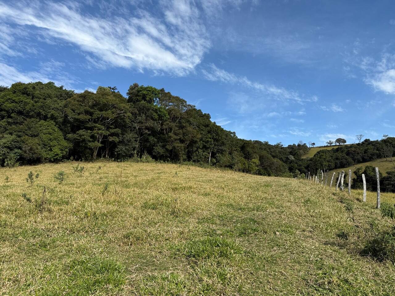 Terreno à venda no Esmeril: 