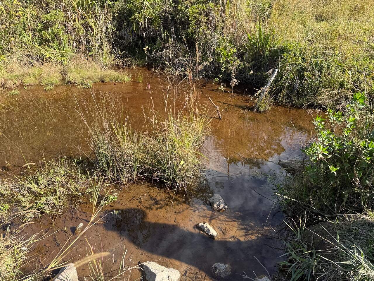 Terreno à venda no Esmeril: 