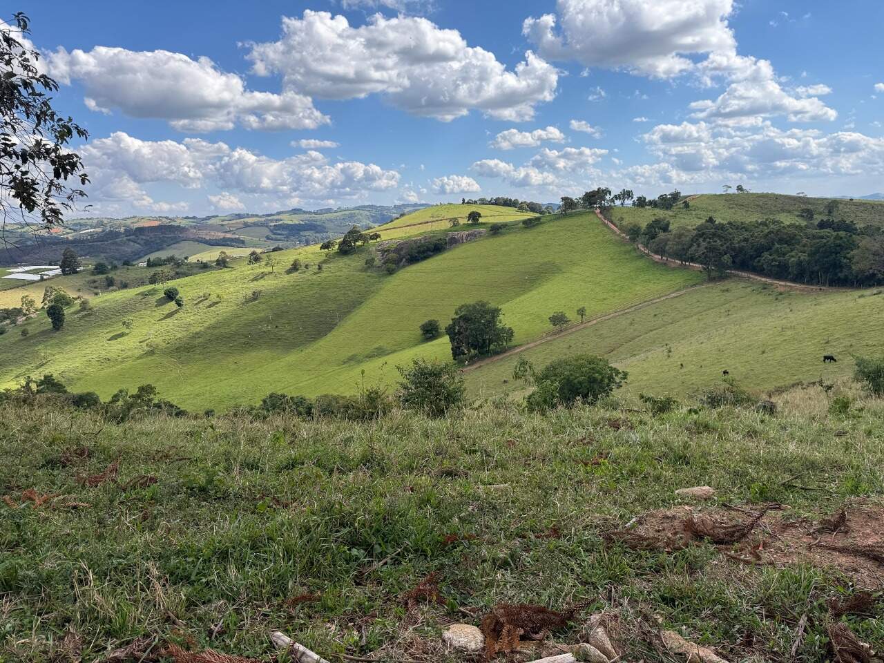 Terreno à venda no Santa Rita: 8