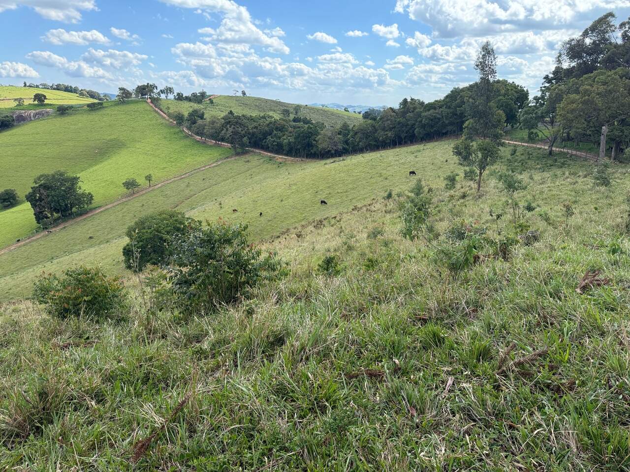 Terreno à venda no Santa Rita: 8