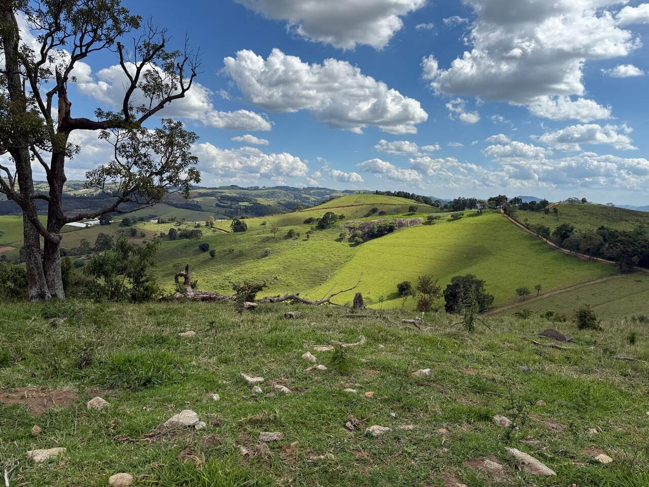 Terreno à venda no Santa Rita: 7