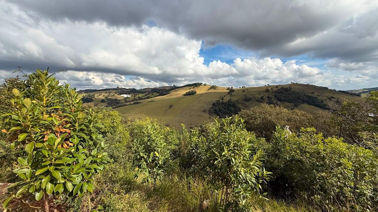 Terreno à venda no Mergulho: 
