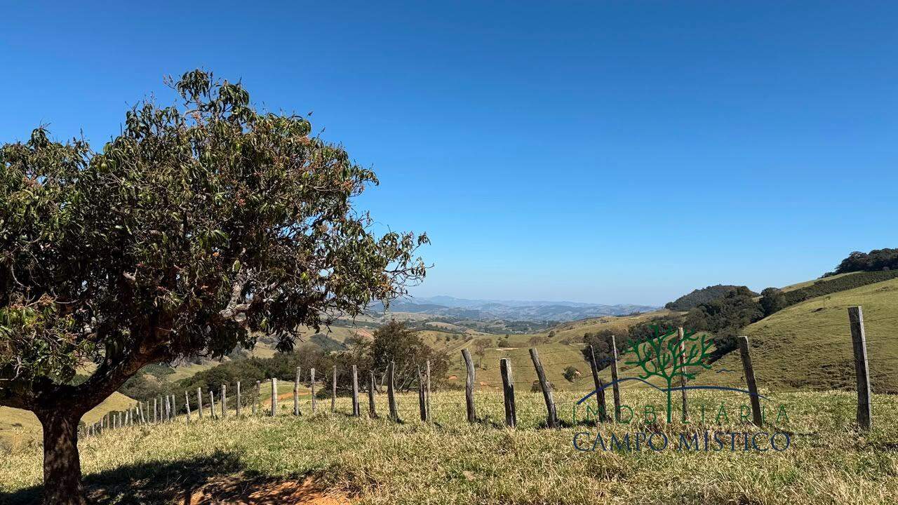 Terreno à venda no Sertãozinho: 