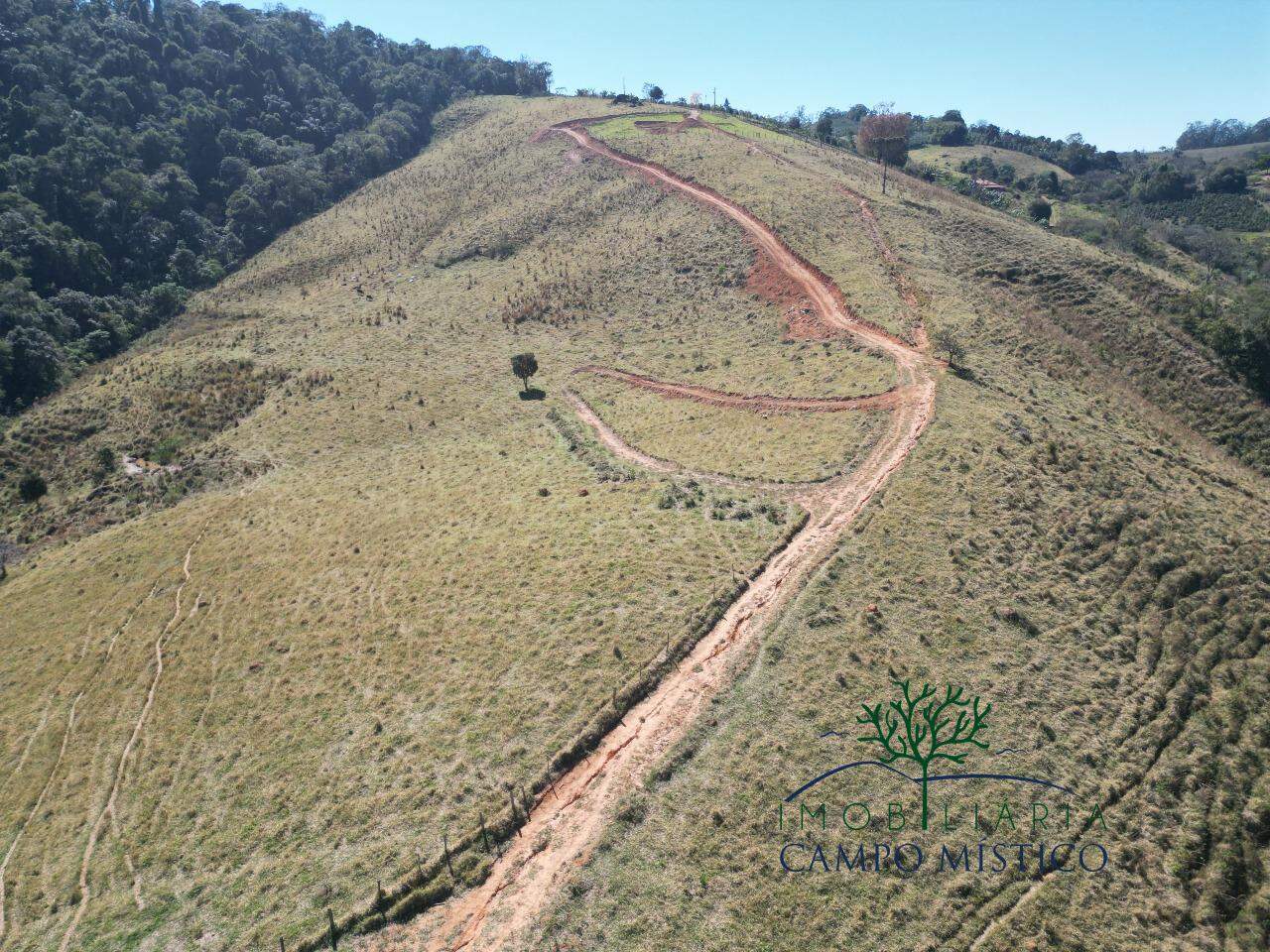 Terreno à venda no Sertãozinho: 
