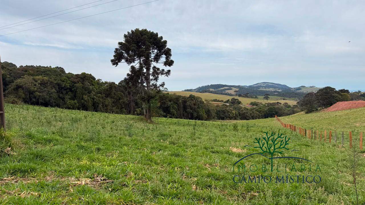 Terreno à venda no Ciganos: 
