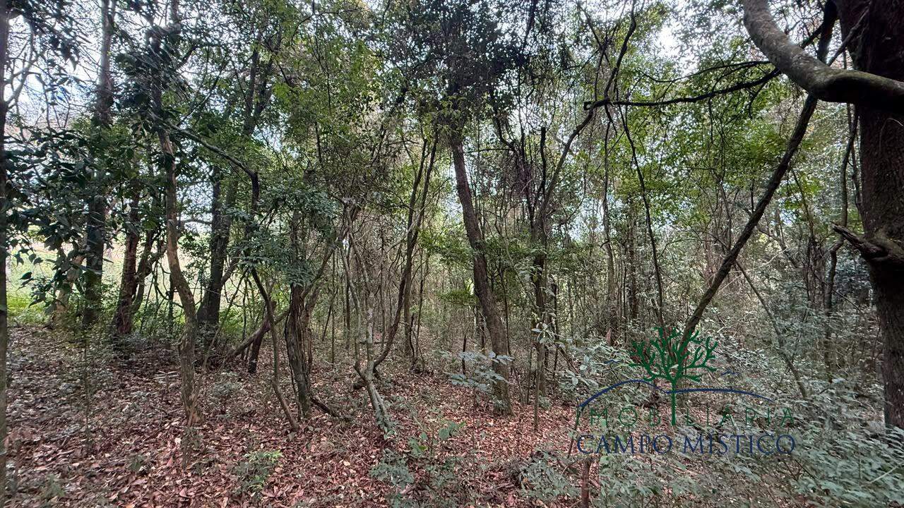 Terreno à venda no Ciganos: 