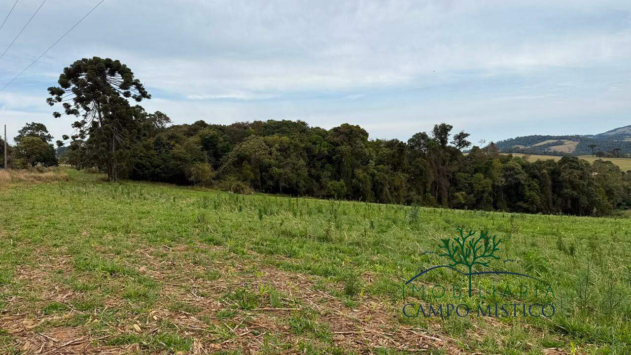 Terreno à venda no Ciganos: 