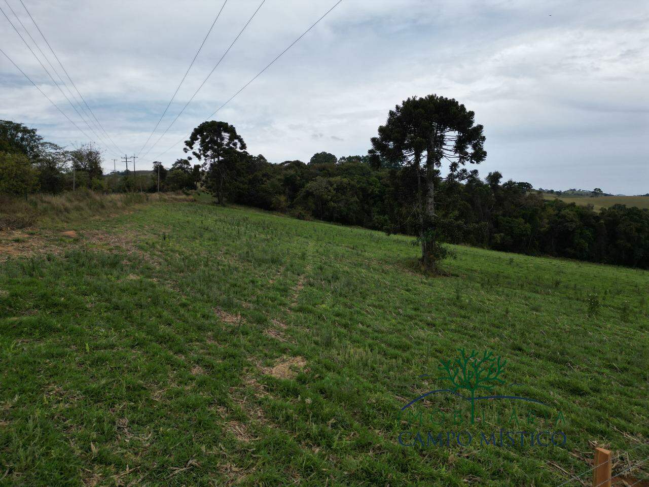 Terreno à venda no Ciganos: 