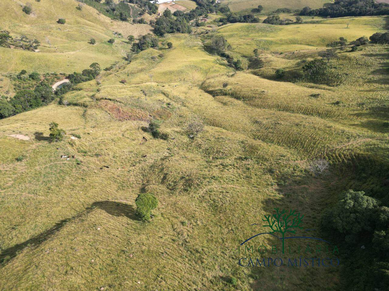 Terreno à venda no Esmeril: 