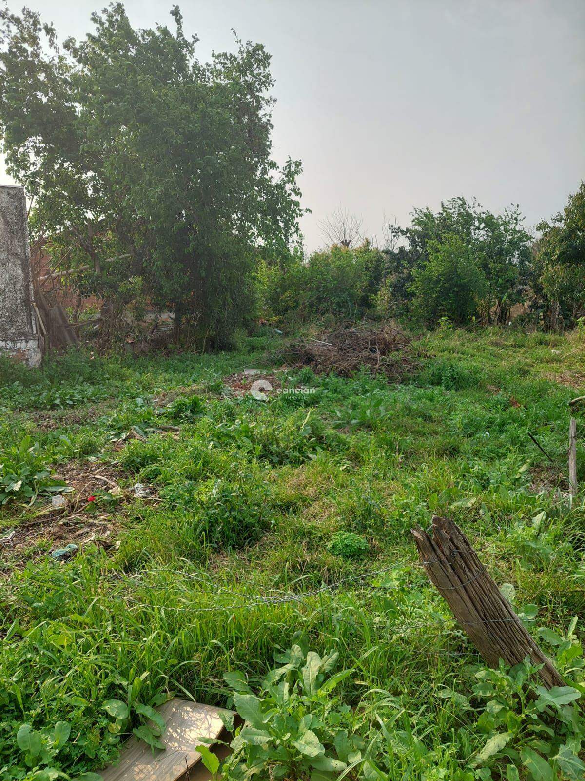 Terreno à venda no Camobi: 