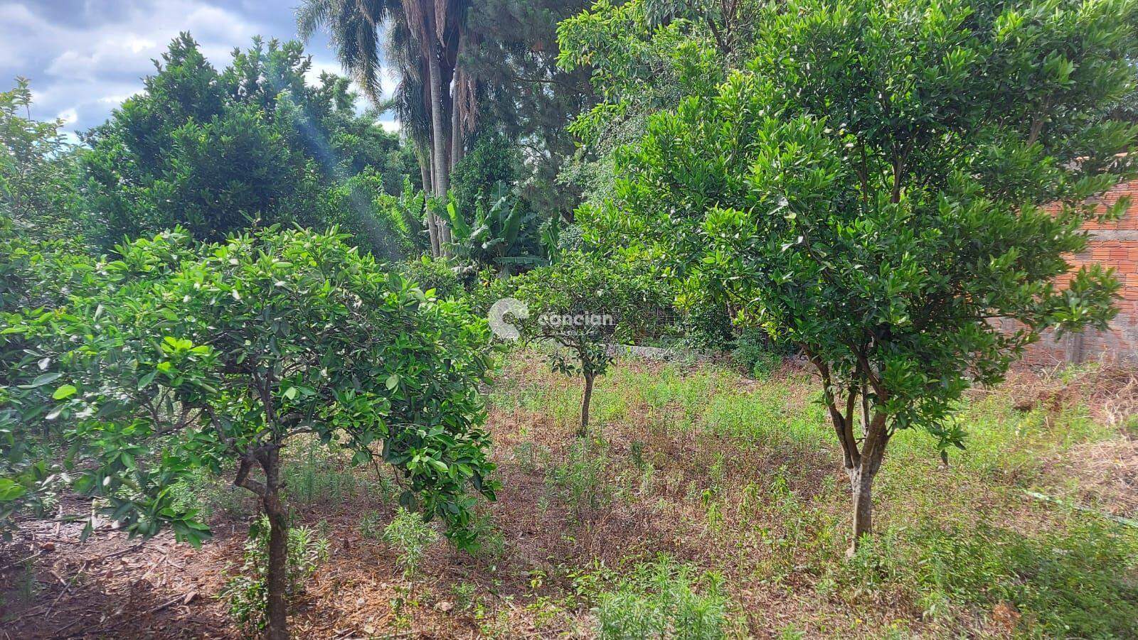 Terreno à venda no São José: 