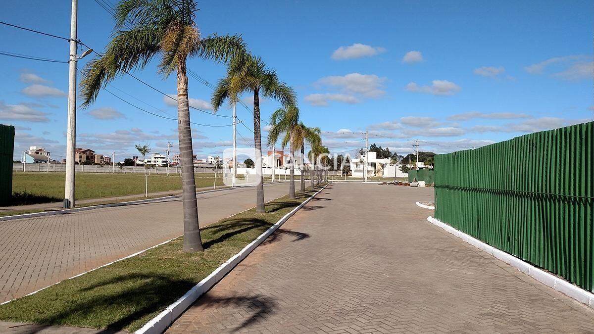 Terreno à venda no Camobi: 
