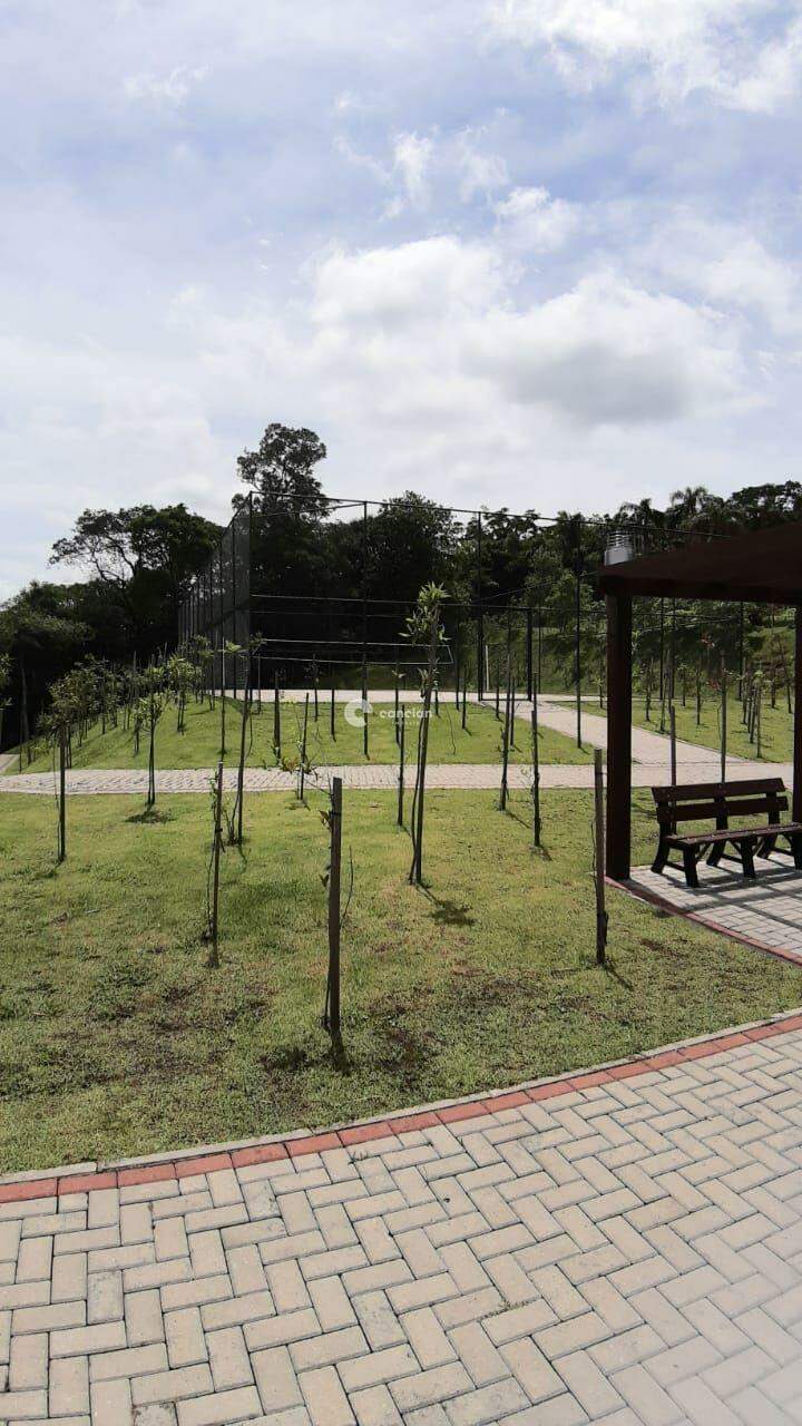 Terreno à venda no Tomazetti:
